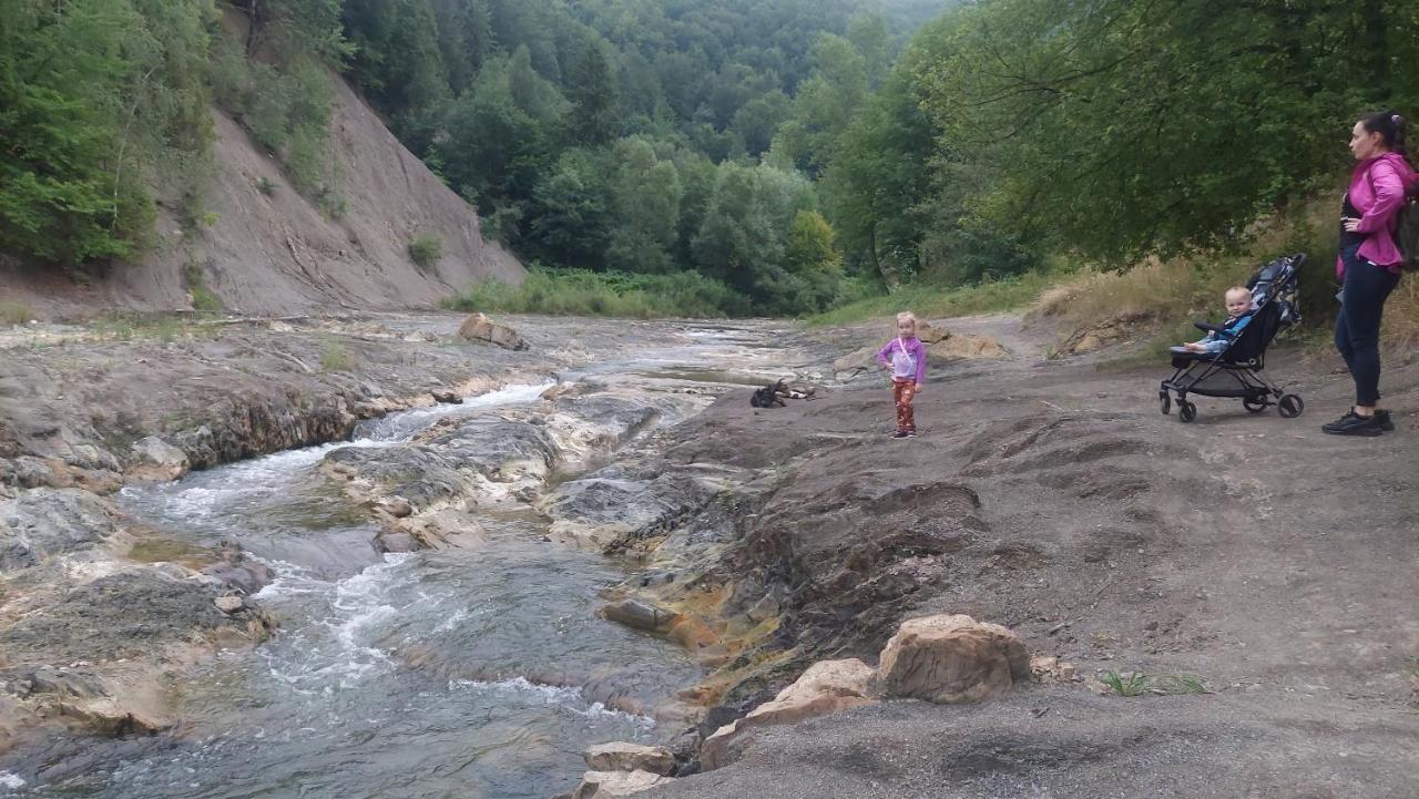 Садиба Федорчуків Гірська Хатина 1 셰쇼리 외부 사진
